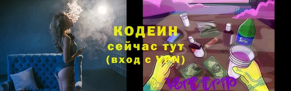 крисы Коряжма