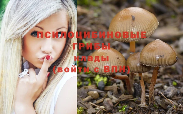 MDMA Корсаков