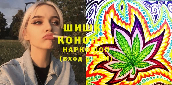 крисы Коряжма