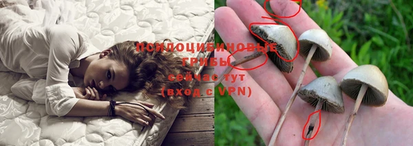 прущая мука Краснотурьинск