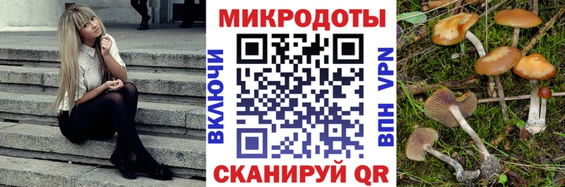 цена   Рыльск  Псилоцибиновые грибы прущие грибы 